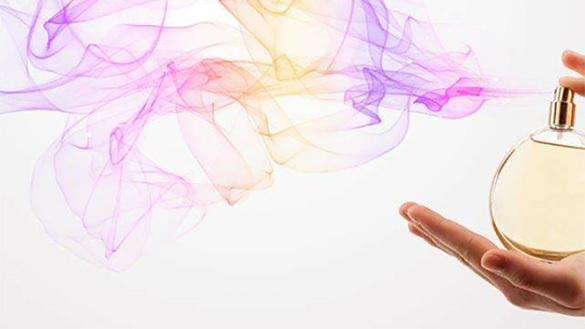 香水的金子塔結構